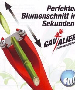Schnittblumenanschneider