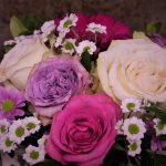 Strauß weiß, pink, rosa blumig fein in pink