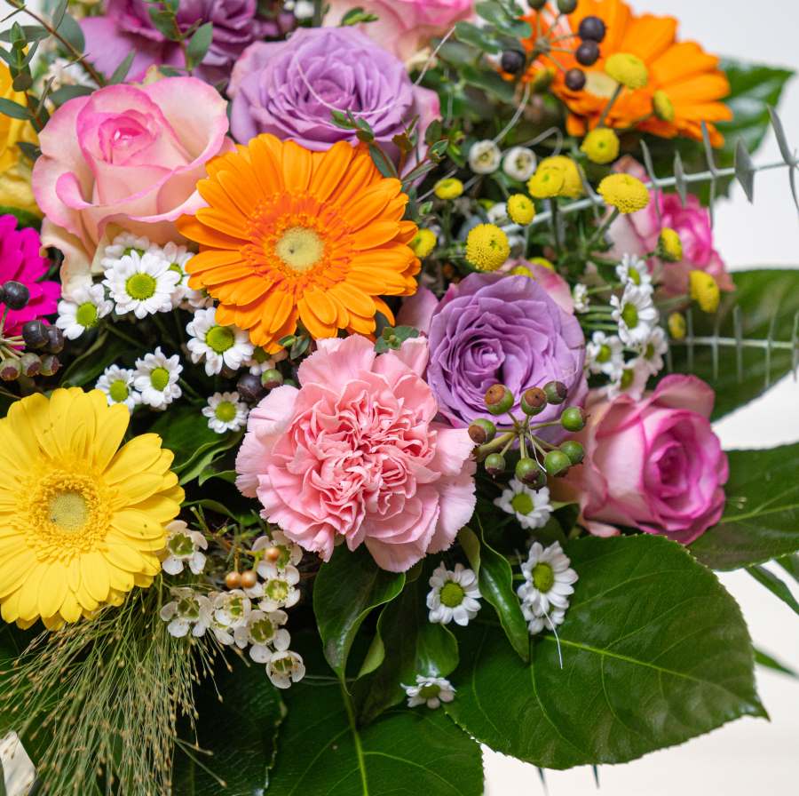 Weil Du es bist! – Bild 2