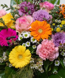 Blumen bunt