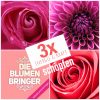 Blumenabo Kraft schöpfen