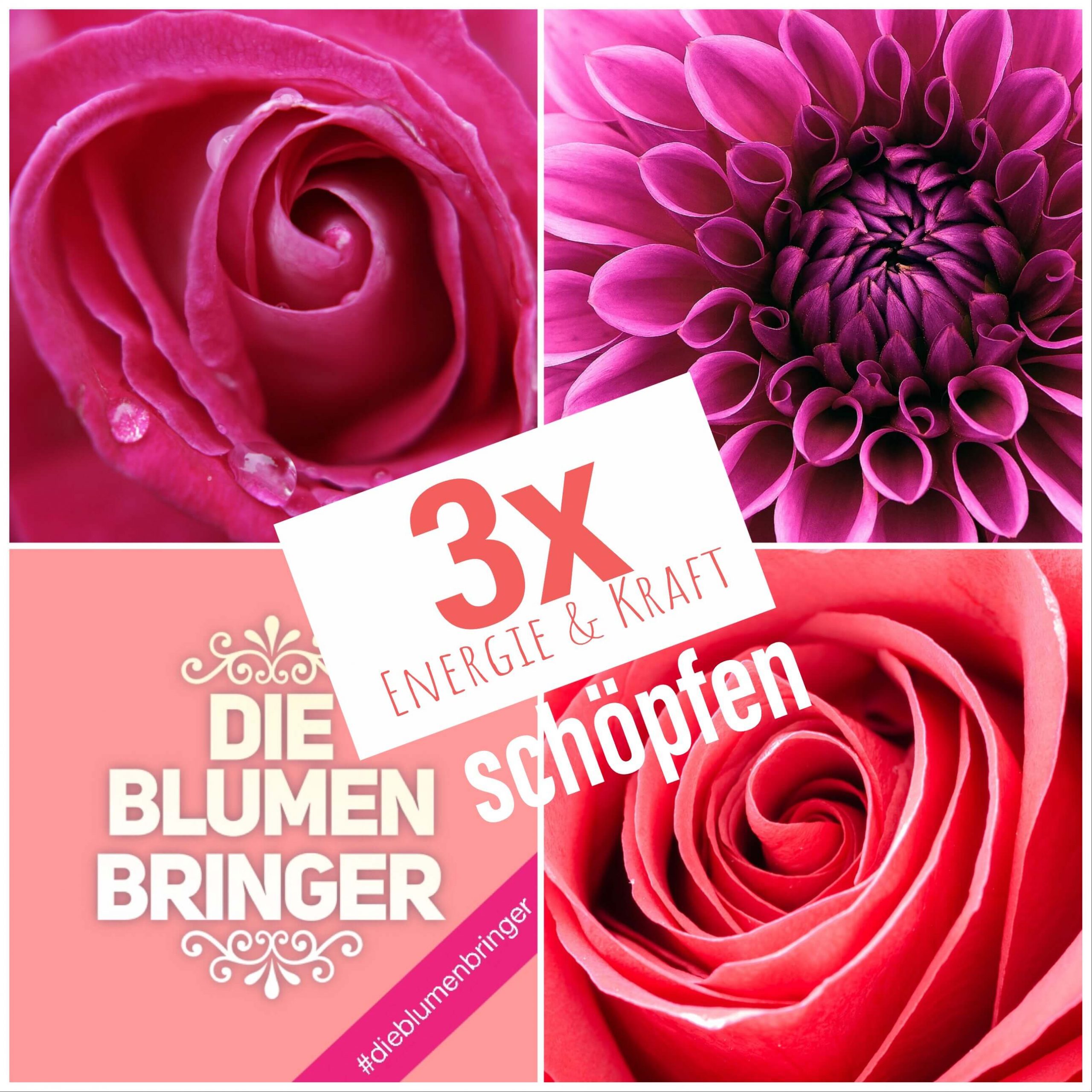 Blumenabo Kraft schöpfen