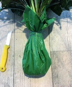 Strauss mit Frischepack