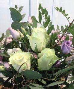 weiße Rosen