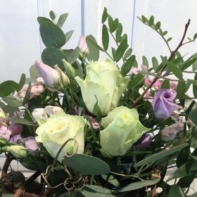 weiße Rosen