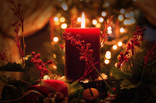Blumen in der Adventszeit