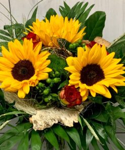 Sonnenblumen