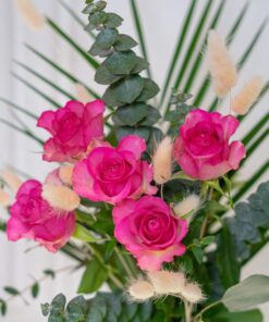 rosa pink Rosen