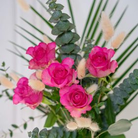 rosa pink Rosen